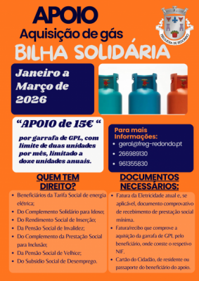 Bilha solid&aacute;ria